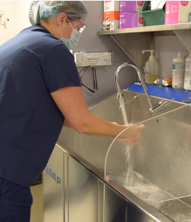 A picture containing person, indoor, preparing, working

Description automatically generated