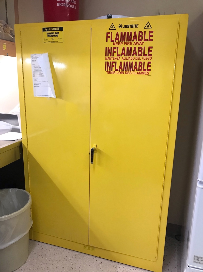 A picture containing text, indoor, yellow, floor
Description automatically generated